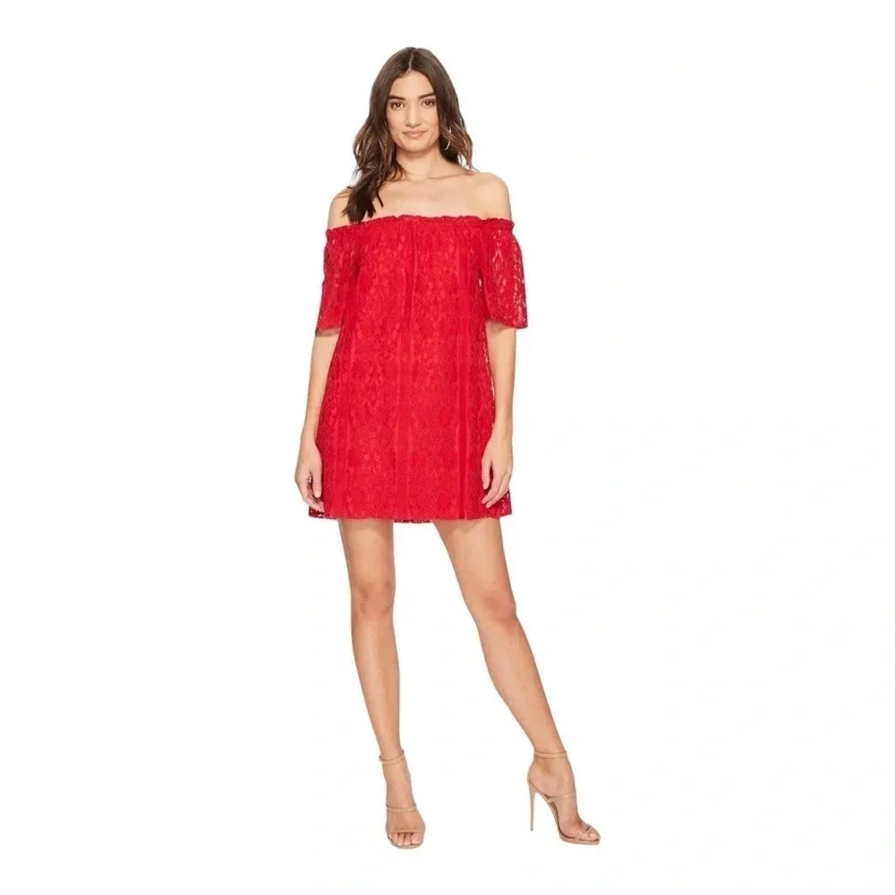 BB Dakota‎ Erica Off The Shoulder Lace Dress✨